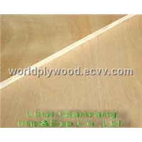 china birch plywood exporter