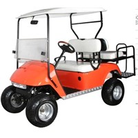 4 Persons Seat Golf Cart
