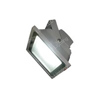 LED Floodlight