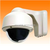 Vandalproof Dome Camera (ES-SVD530YA)