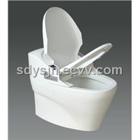 Toilet Seat