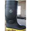 Safety Boot