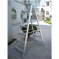 step Ladder (JLTA06)