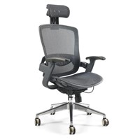 Ergonomics Chair (LX0801)