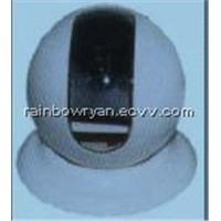 Dome Camera with Private Housing