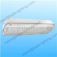 LED Emergency Bulkhead