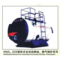 WNS Horizontal Oil / Gas Boiler (M-9)