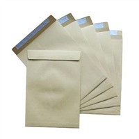 Pocket Paper Bag