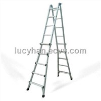 Little Giant Aluminum Ladders (ANIA-MT22)