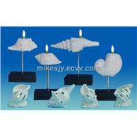 Ceramic sea shell candle holders series