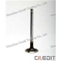 Dongfeng Cummins Intake Valve