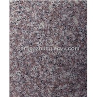 Granite Slab (G664)