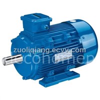 Foot Mount Three Phase Electric Motor