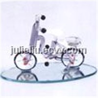 Glass bike