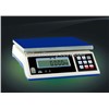 WH Series Weighing Bench Scale