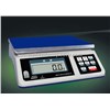 ZAM Series Weighing Desk Scale