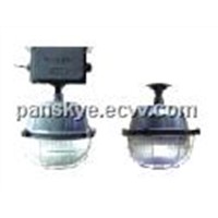 Explosion-proof Induction lamp