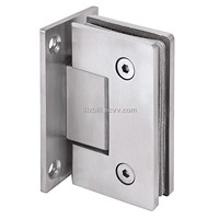 Glass Hinge