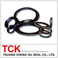 Oil Seal / External Lip Seal