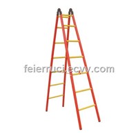 Insulated Joint Ladder