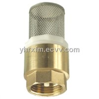 brass check valve with ss filter