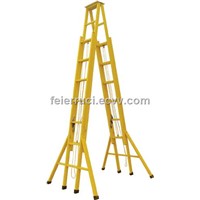 Double Sides Tensile Step Ladder