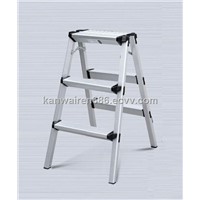 Double Side Ladder LB203