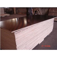 Film Faced Plywood (HX002)