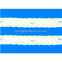 Nylon Coarse Monofilament Compound Rope