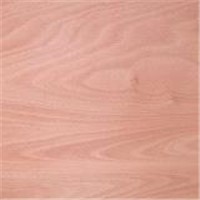 Okoume Plywood