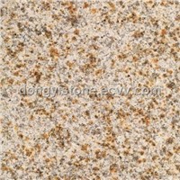 Yellow Rusty Stone Granite Slab (G350D)