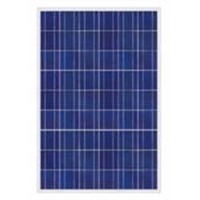 Poly-crystalline Silicone Solar Panel with Peak Power of 175W and Water-resistant Junction Box