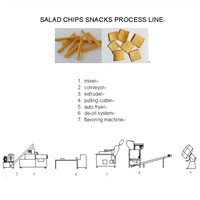 french fries process machine
