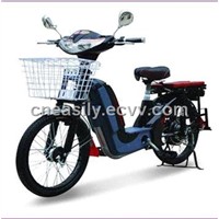 Electric Bicycle