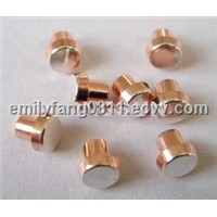 Electrical Contact Rivet (Timer Electronics and Electrical Appliance)