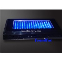 LED Plant Grow Lighting