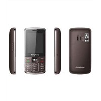 CDMA Cell Phone (800MHZ)