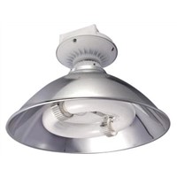 Induction Lamp for High Bay Lamps