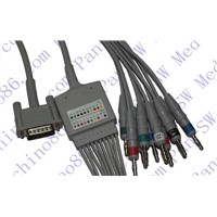 Nihon Kohden One Piece 10-Lead ECG Cable with Leadwire