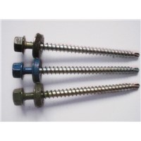 Roofing Screws with EPDM Washer