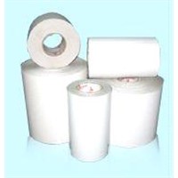 Self Adhesive Cast Coated Label Paper