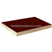 brown film faced plywood factory