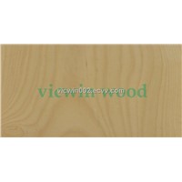 Sliced Golden Birch Veneer