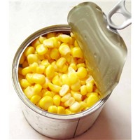 Canned Sweet Corn (Cream Style)