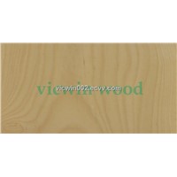 golden birch veneer