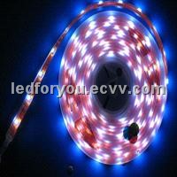 8*1000mm 14.4W LED Rope Light