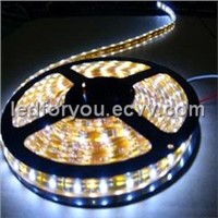 Cool White DC12V Light