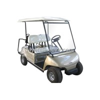 Electric Golf Cart (GLT2041)