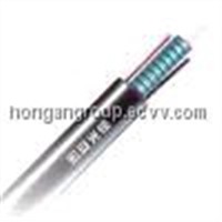 Light-Armored Outddoor Optical Cable/Optic Fiber Cable (GYXTW)