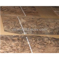 walnut burl veneer